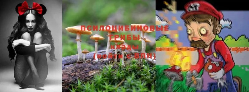 Псилоцибиновые грибы MAGIC MUSHROOMS  ссылка на мегу зеркало  Обнинск 